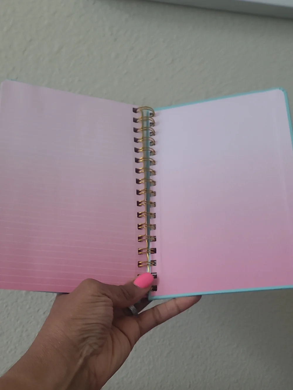 DREAM Notebook/Journal - 160 Pages